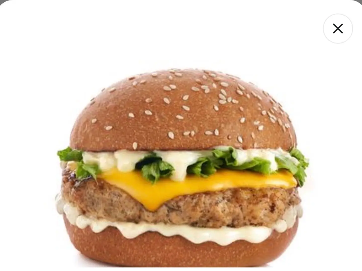 Plain Chicken Burger