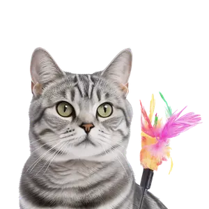 مستلزمات القطط الفئة