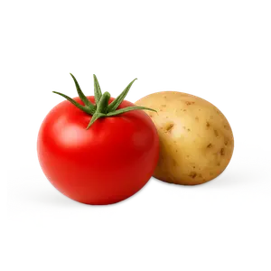 الخضروات الطازجة الفئة