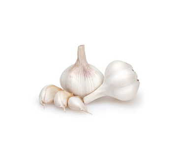 Garlic India