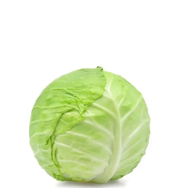 ثمار الخليج كرنب أبيض محلي 500 جرام