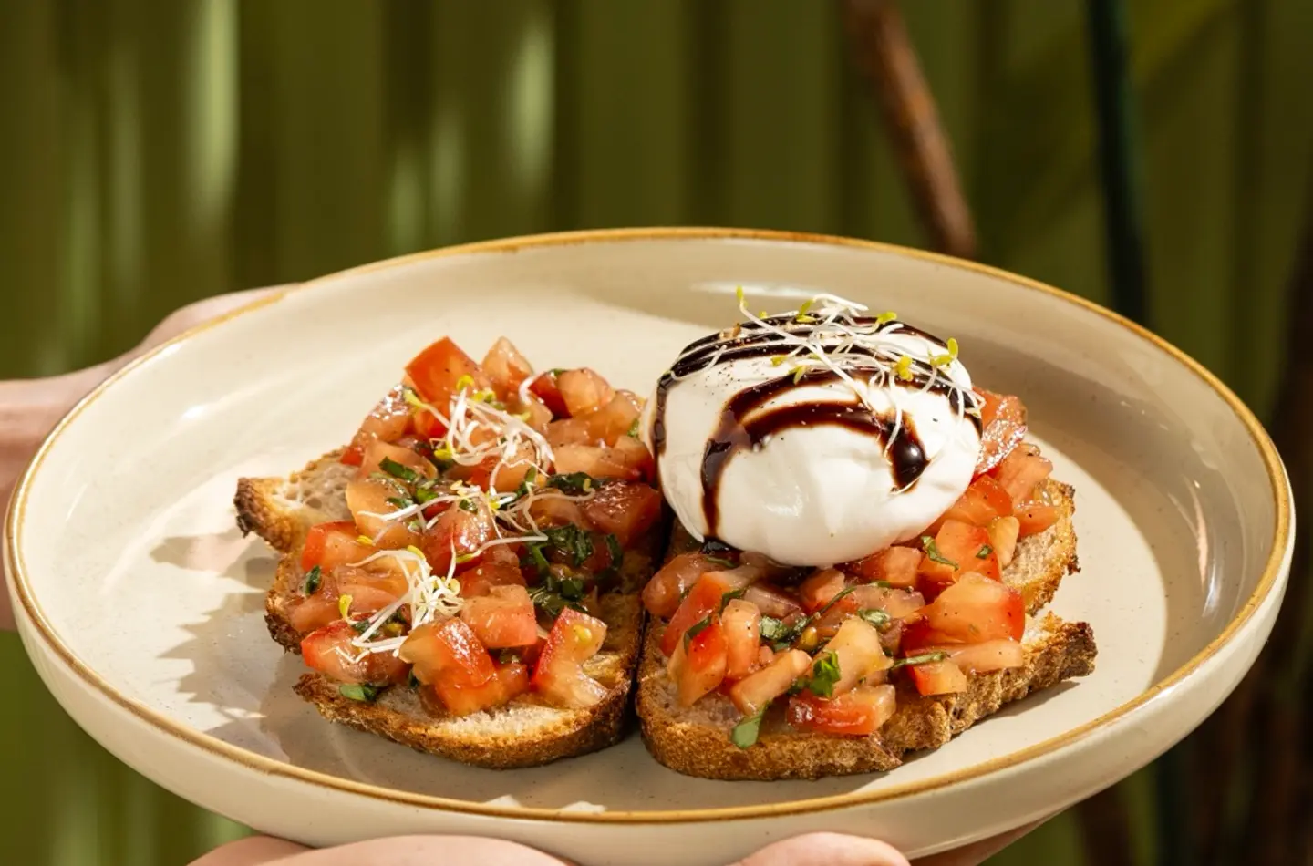 Burrata Bruschetta