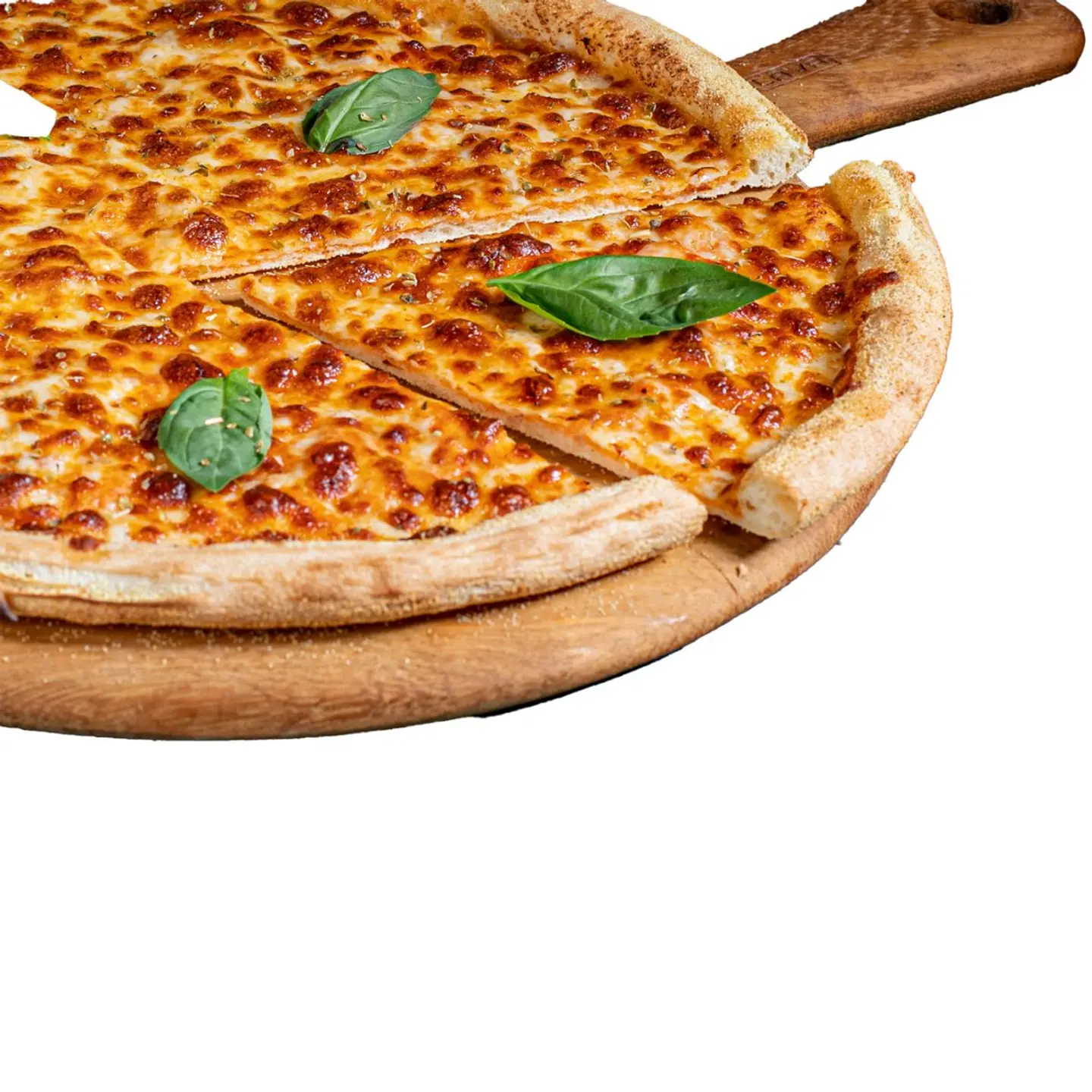 Sh Margherita Pizza