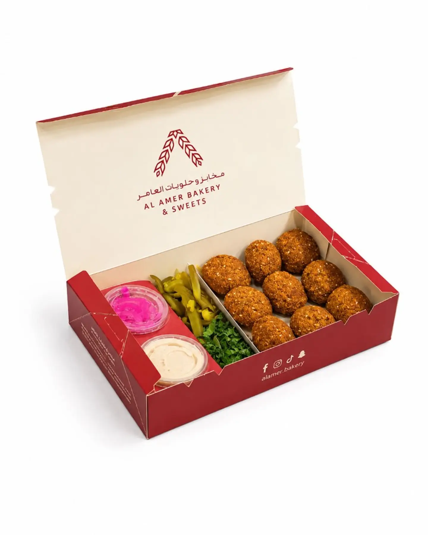 Falafel Regular Dish