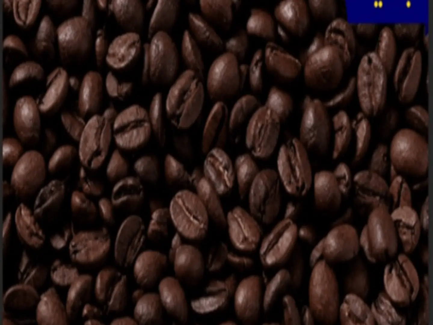 Coffee Mandheling Indonesian