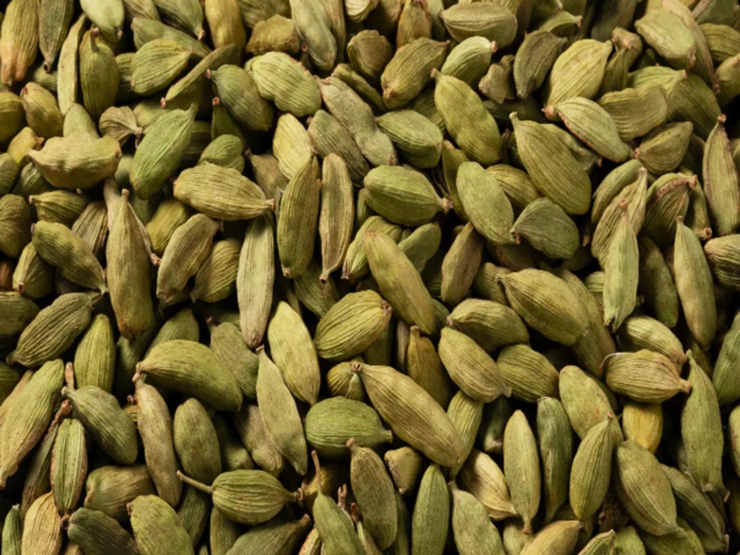 Cardamom No.3