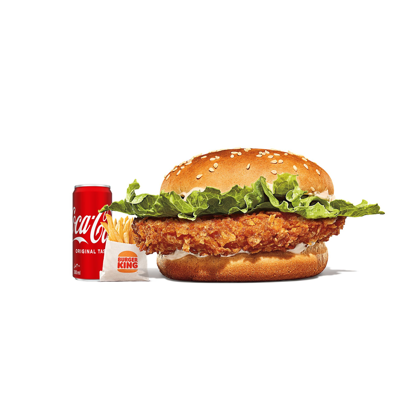 Chicken Crispy Meal Large