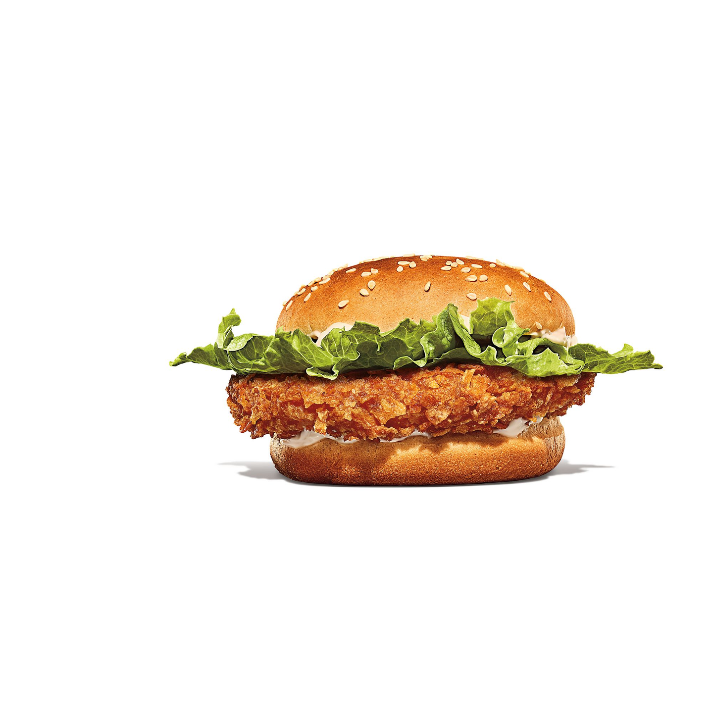 Chicken Crispy