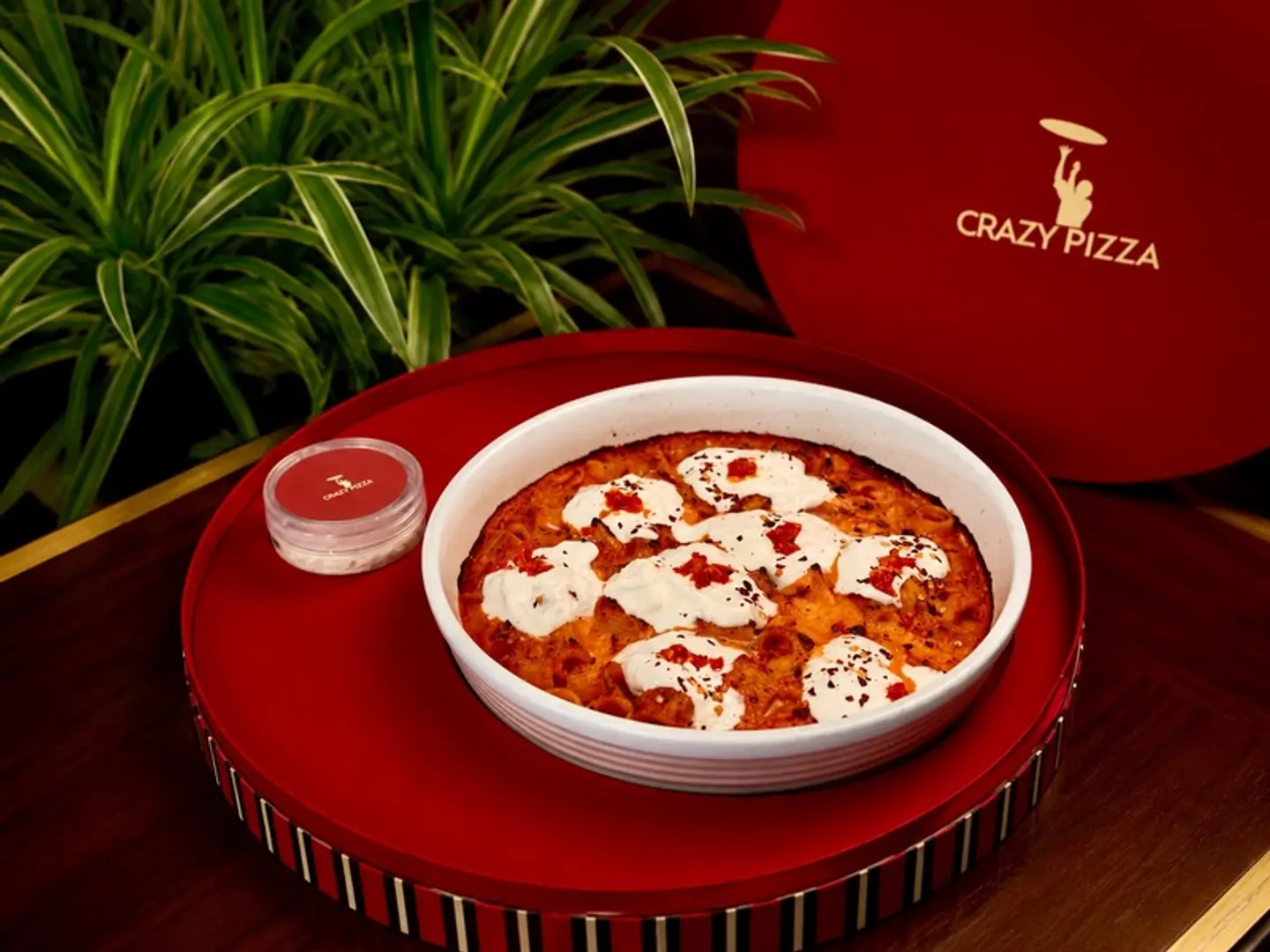 ريغاتوني للمشاركه