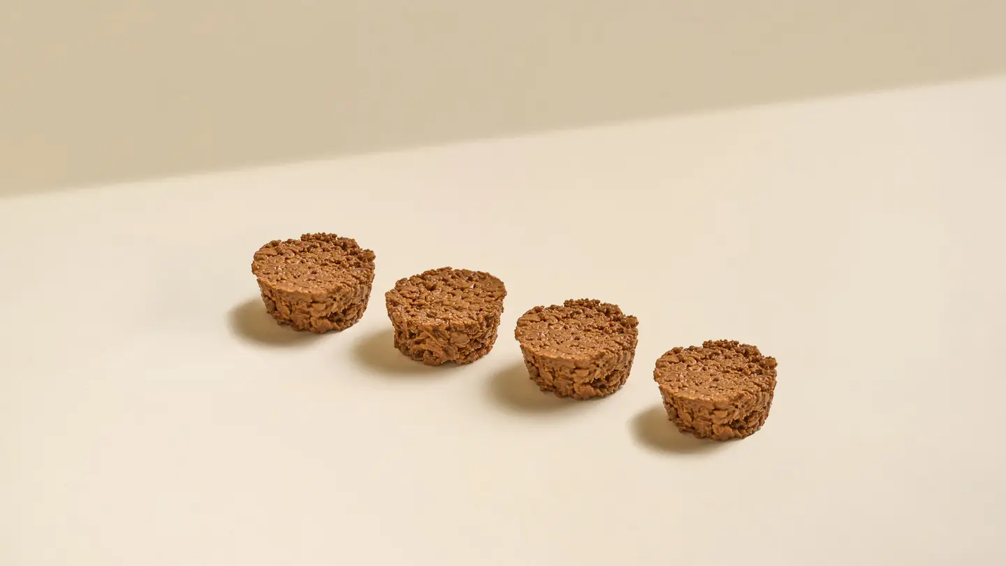 Crunchy Chocolate