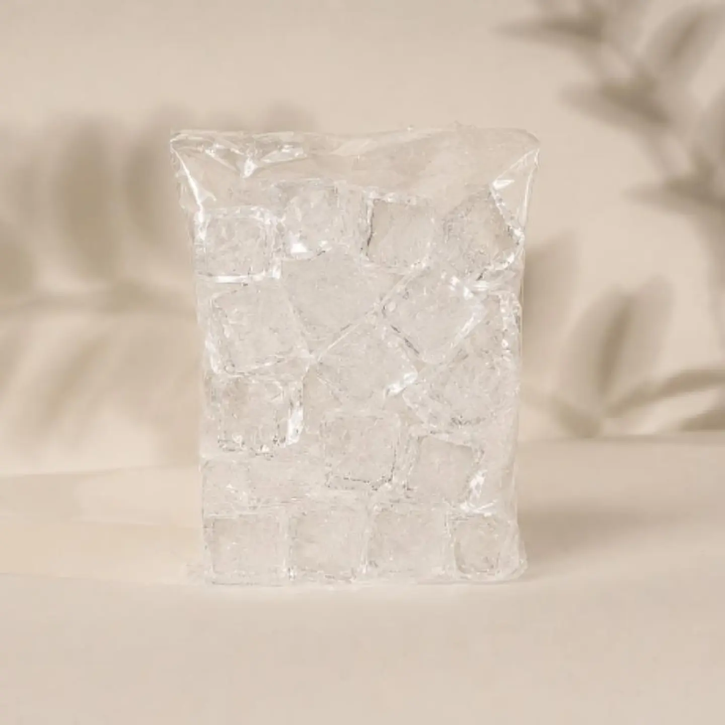 Ice Pack