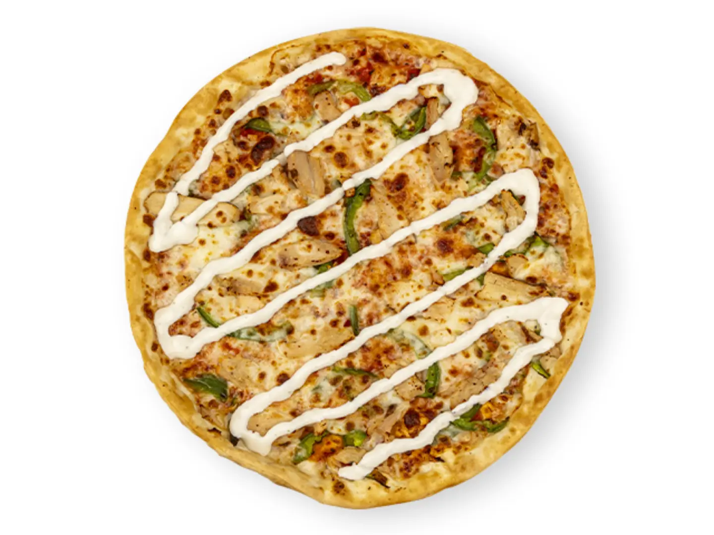 دجاج البافلو صغير