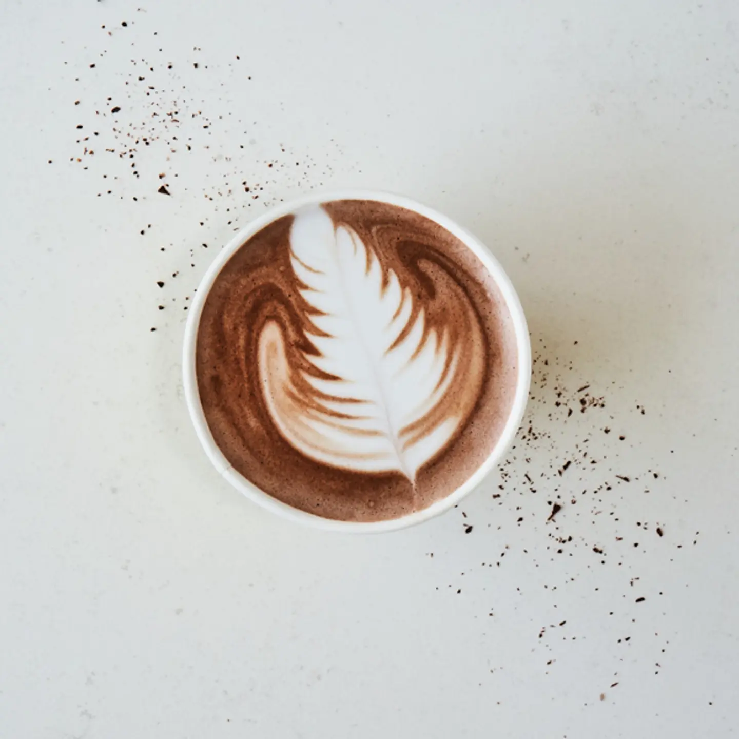 Hot Chocolate 12oz New