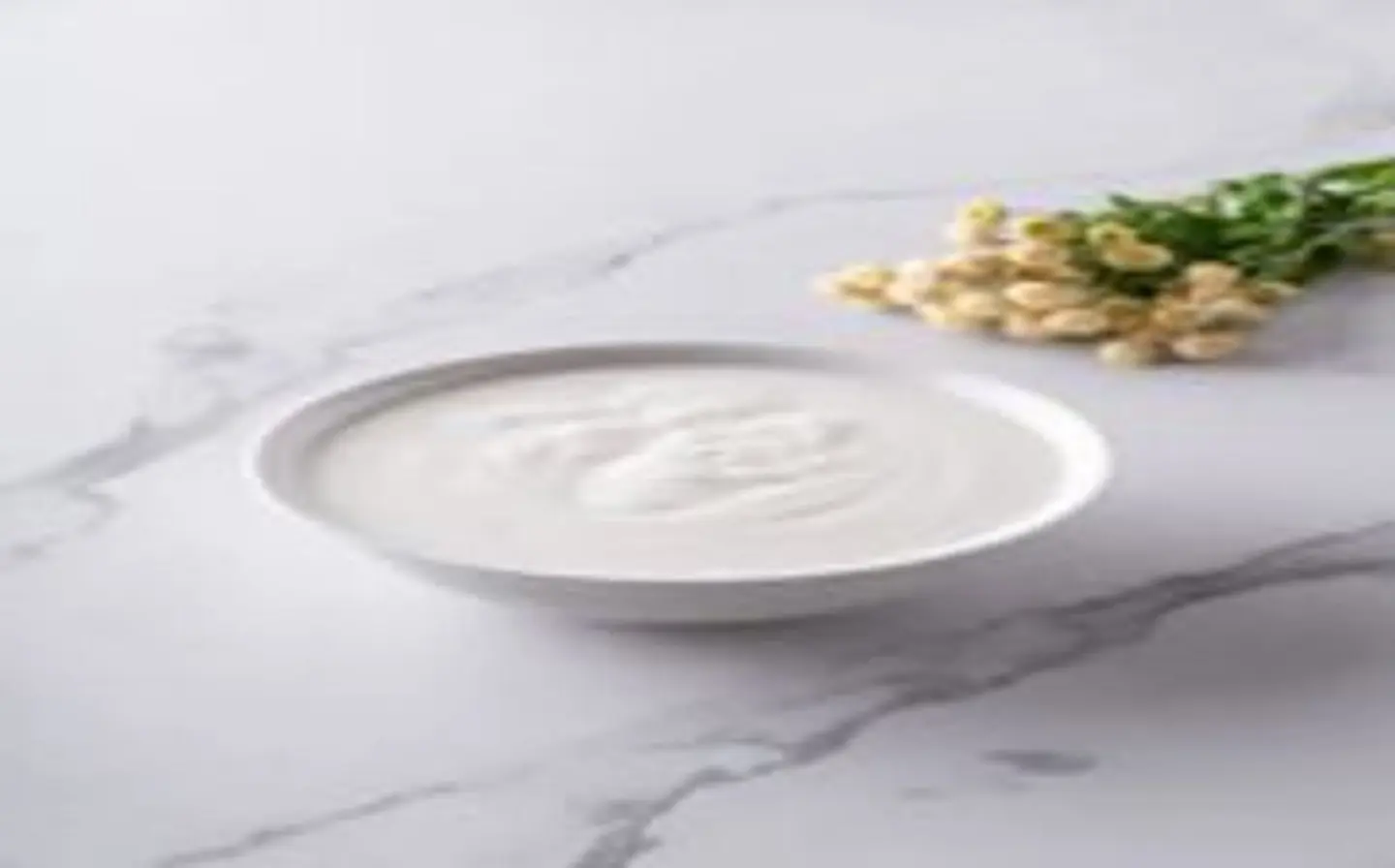 Yogurt Cup