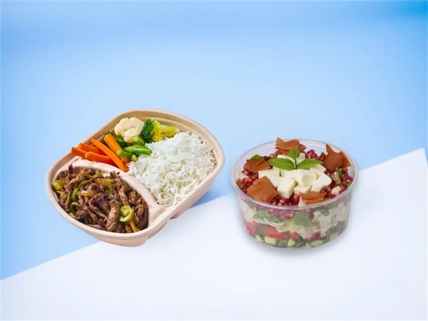 A Meal And A Salad Of Your Choice
