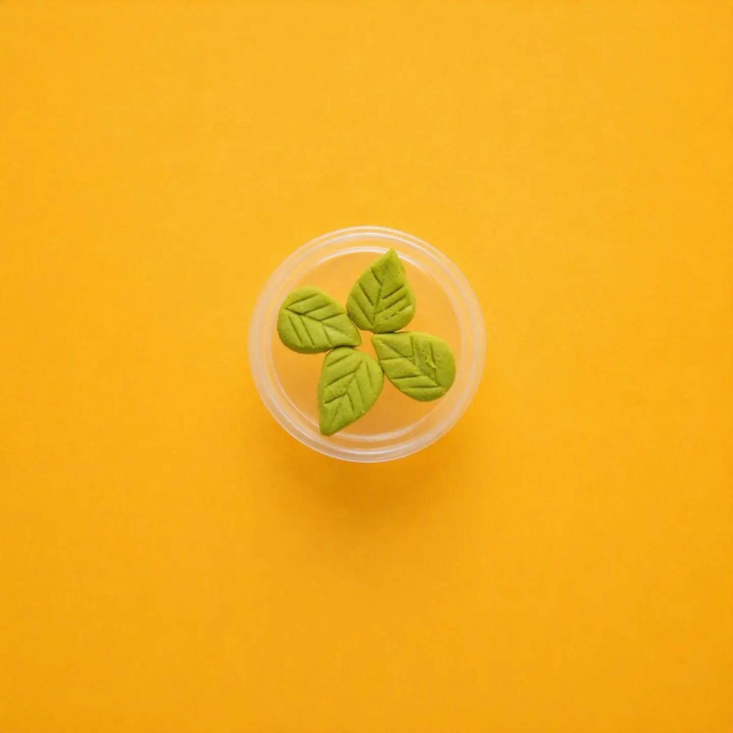 Wasabi
