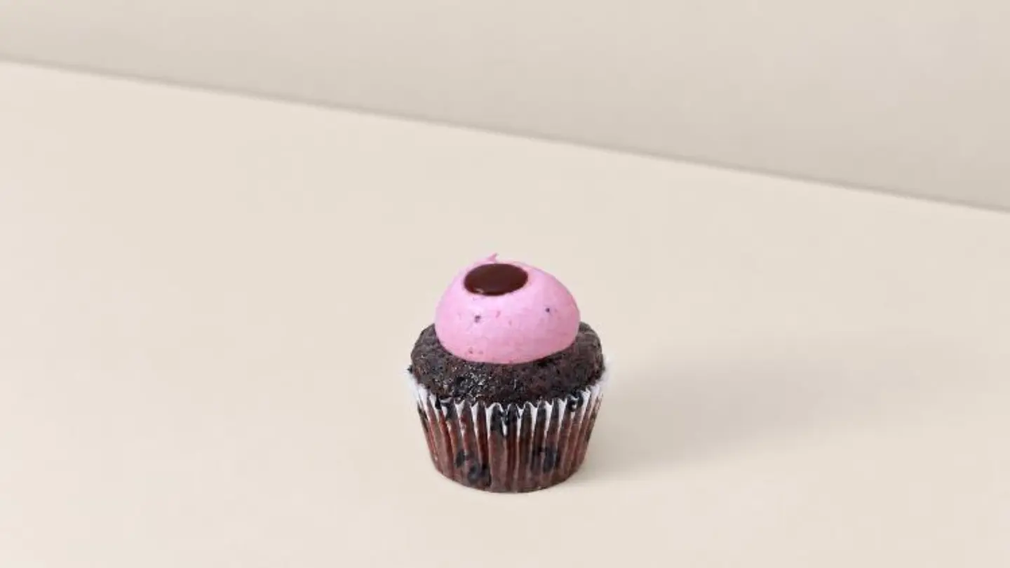 Chocolate Fudge Mini Cupcake