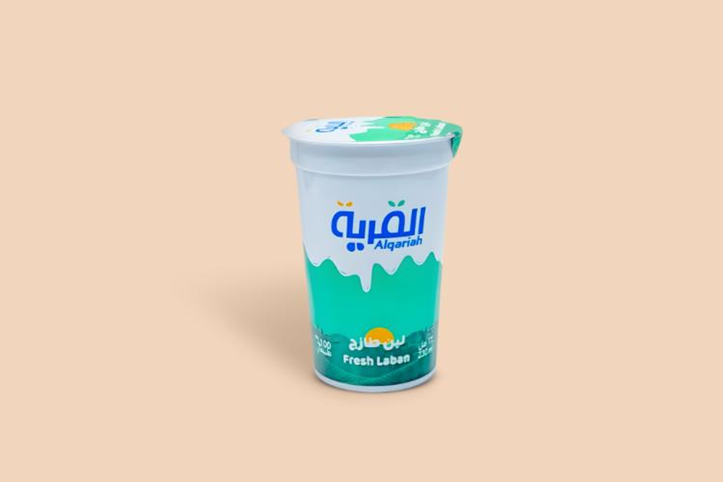 Village Yogurt