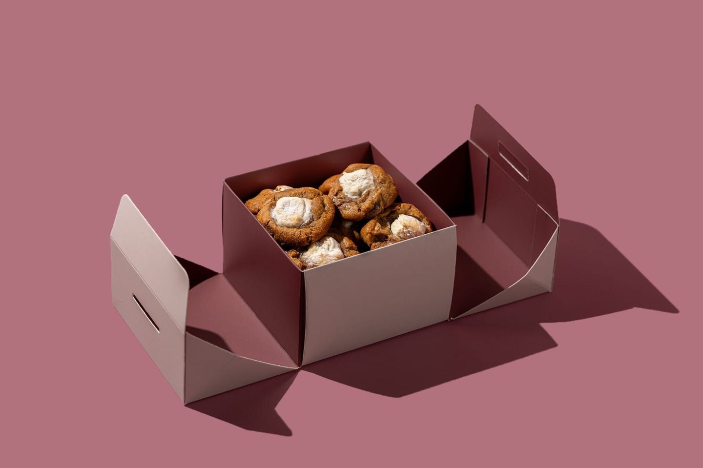 Mini Smores Cookies