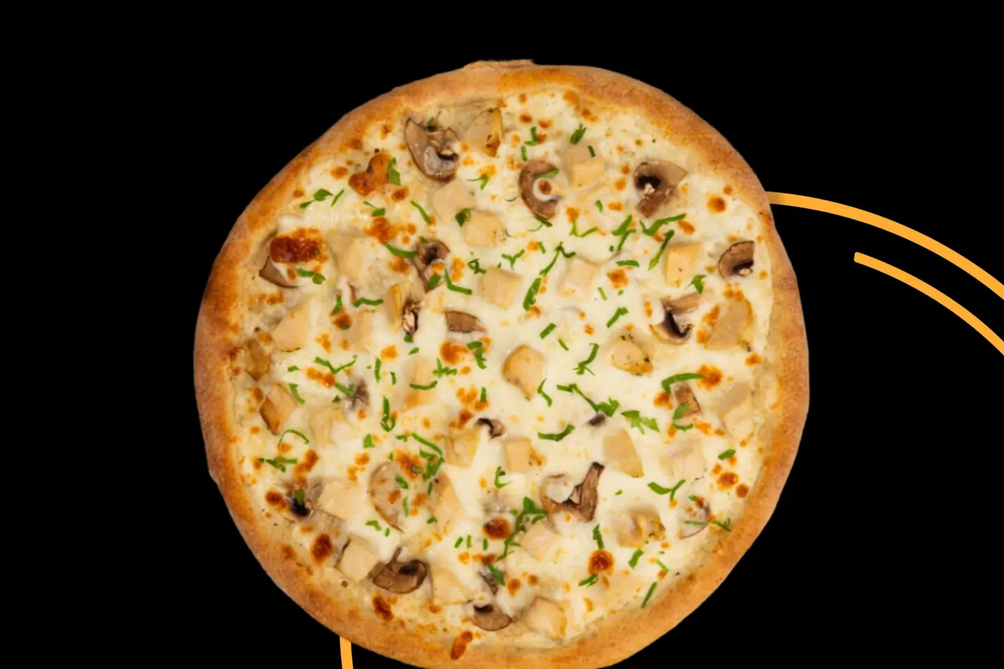 Chicken Alfredo Pizza Large
