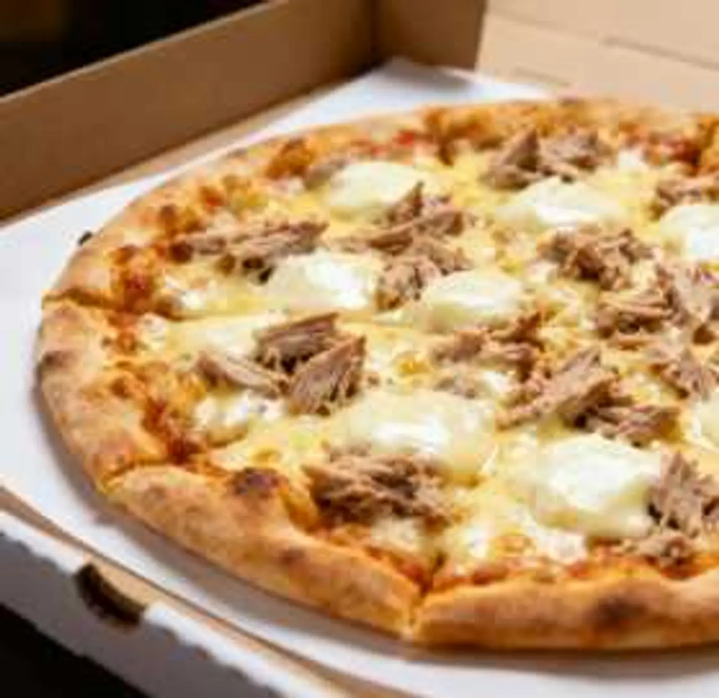 Plain Tuna Pizza M