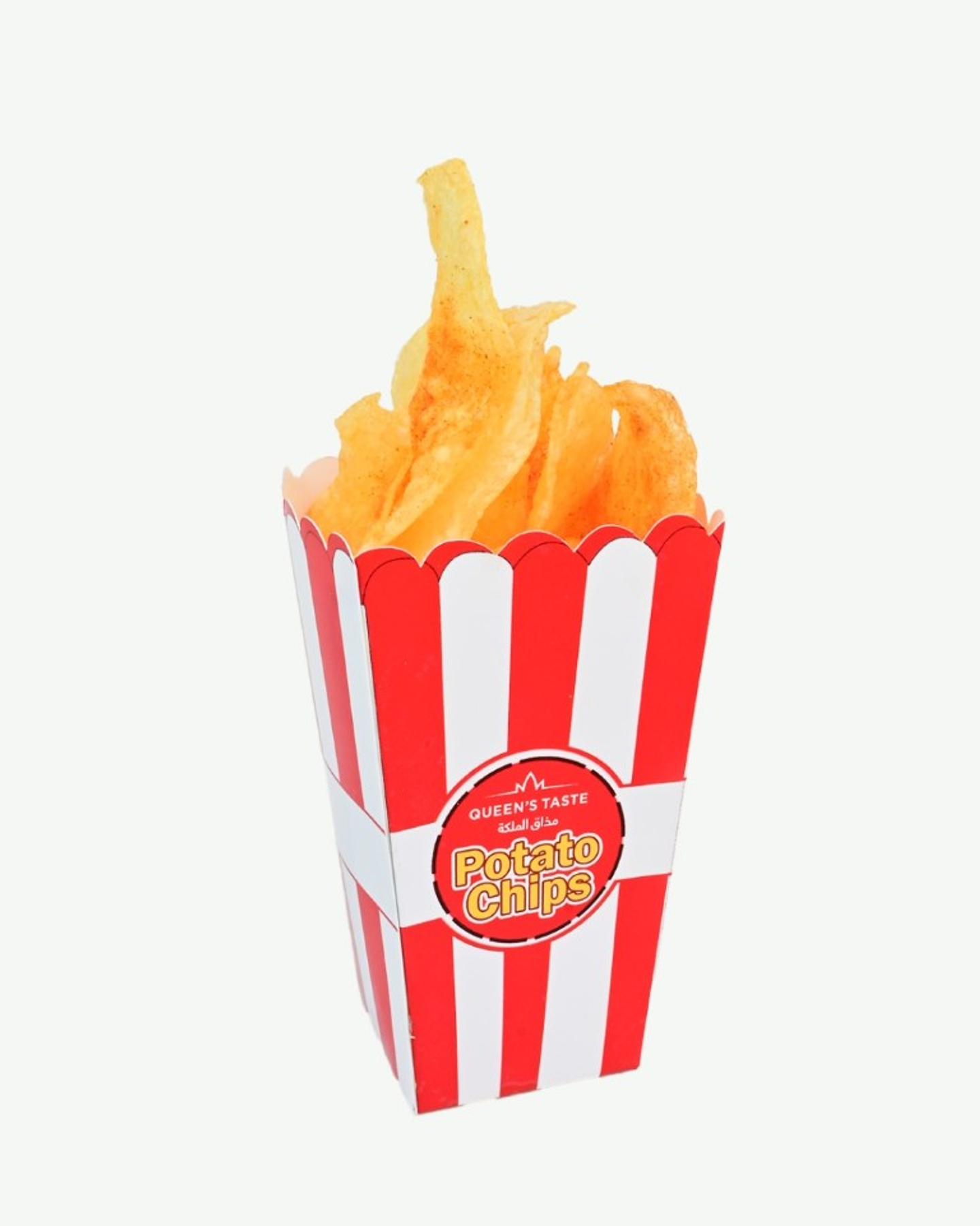 French Fries Salt And Vinegar Box 10701