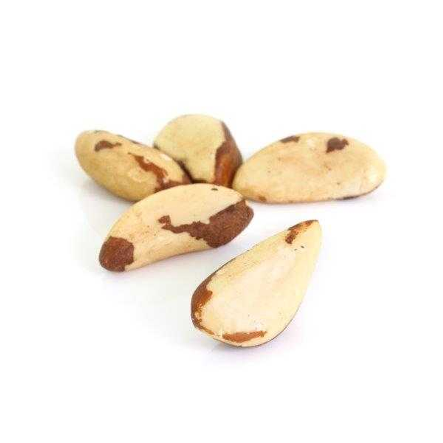 Brazil Nuts