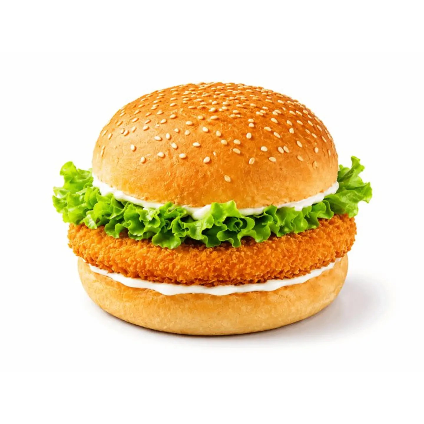 Chicken Burger Sandwich