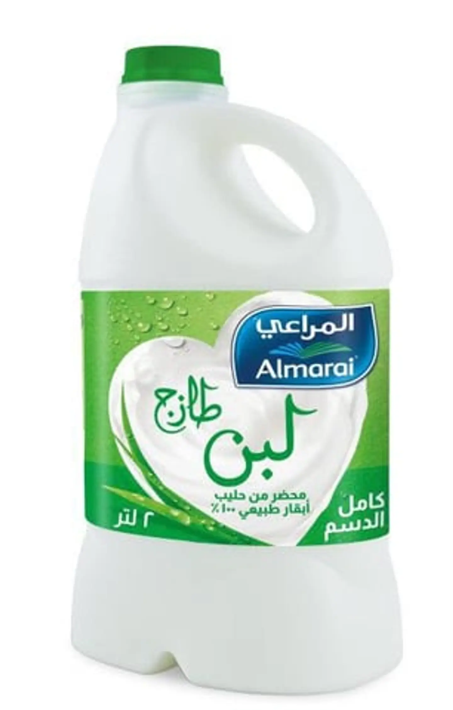Laban Large