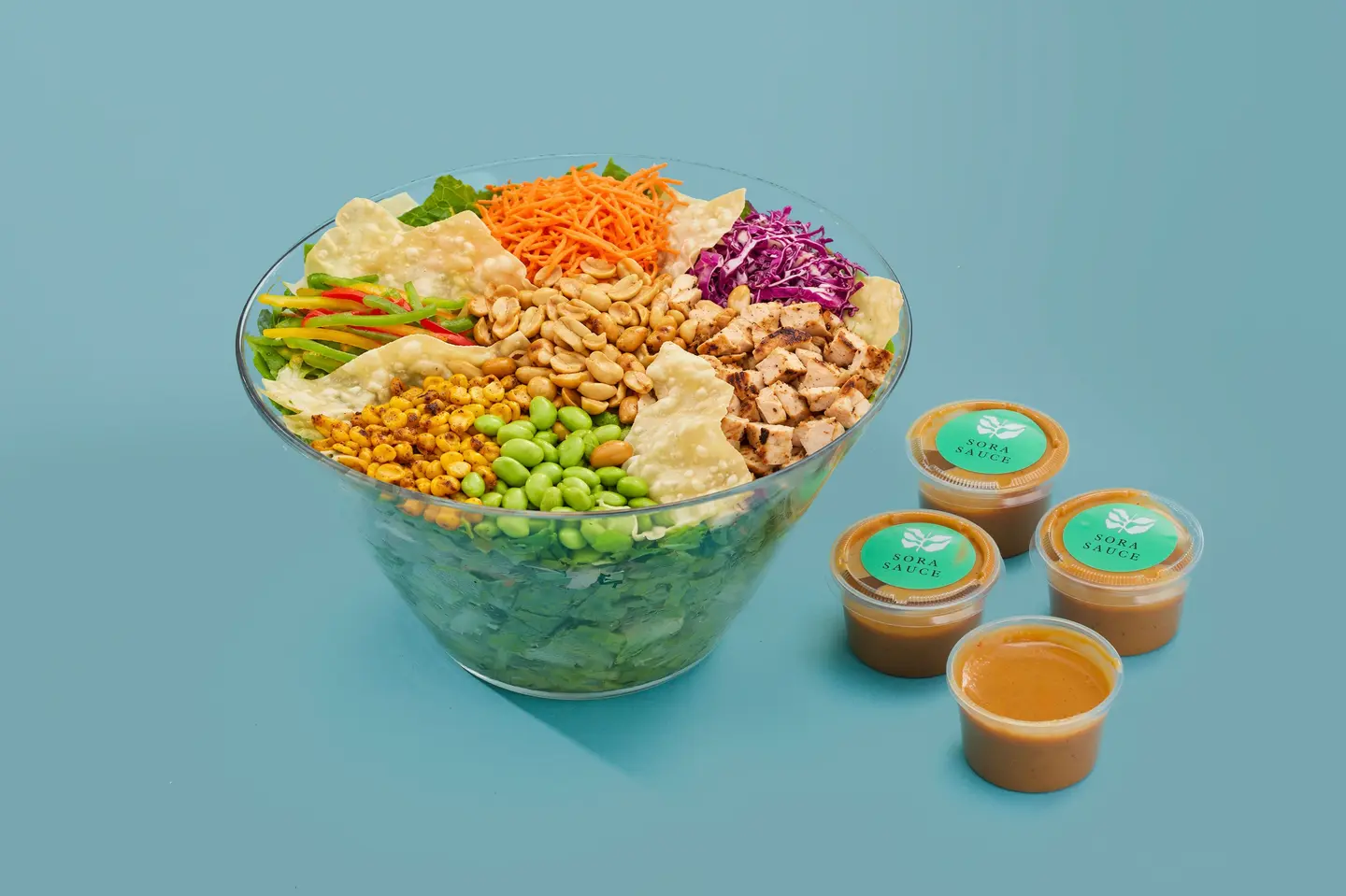 Sora Salad Gathering .