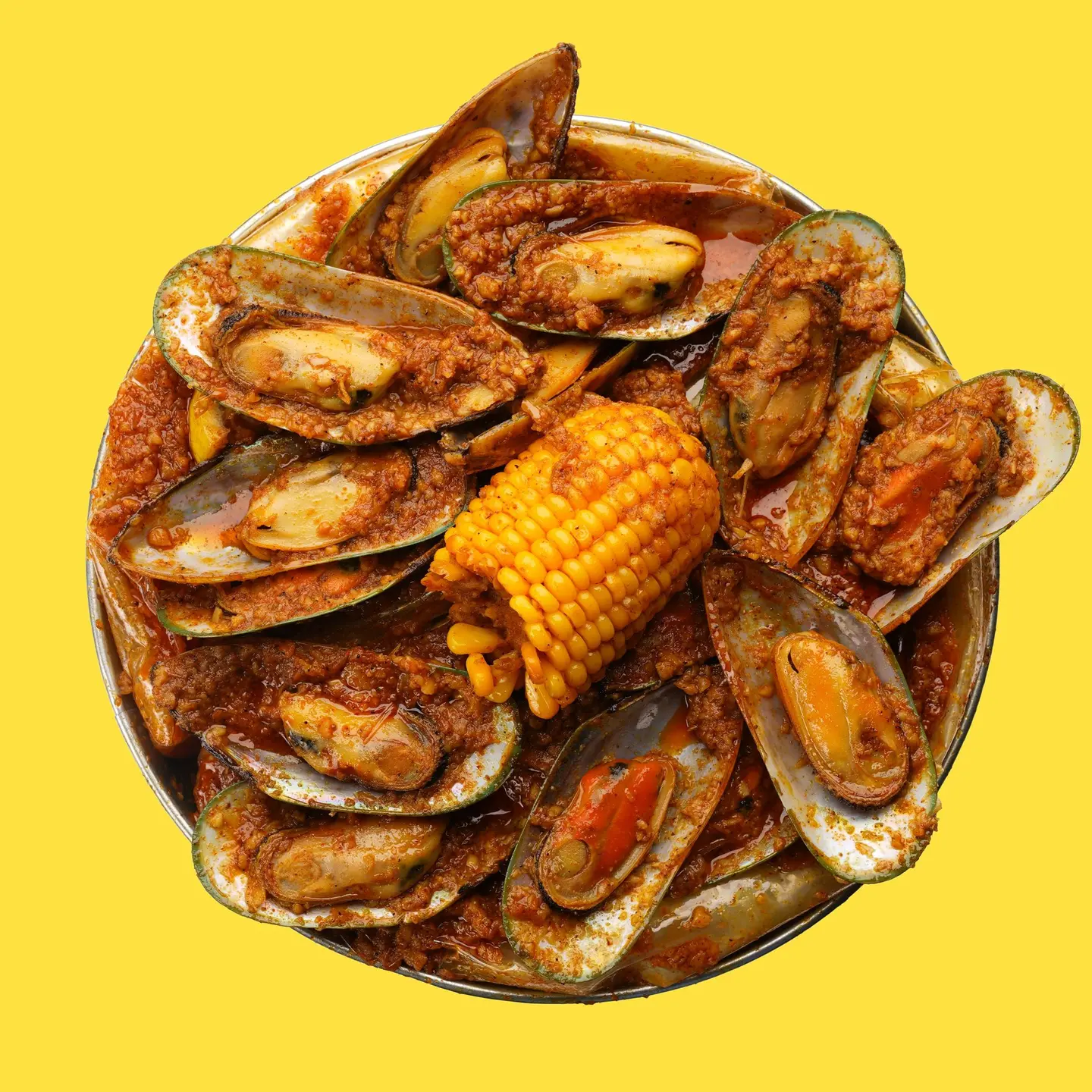 Mussels