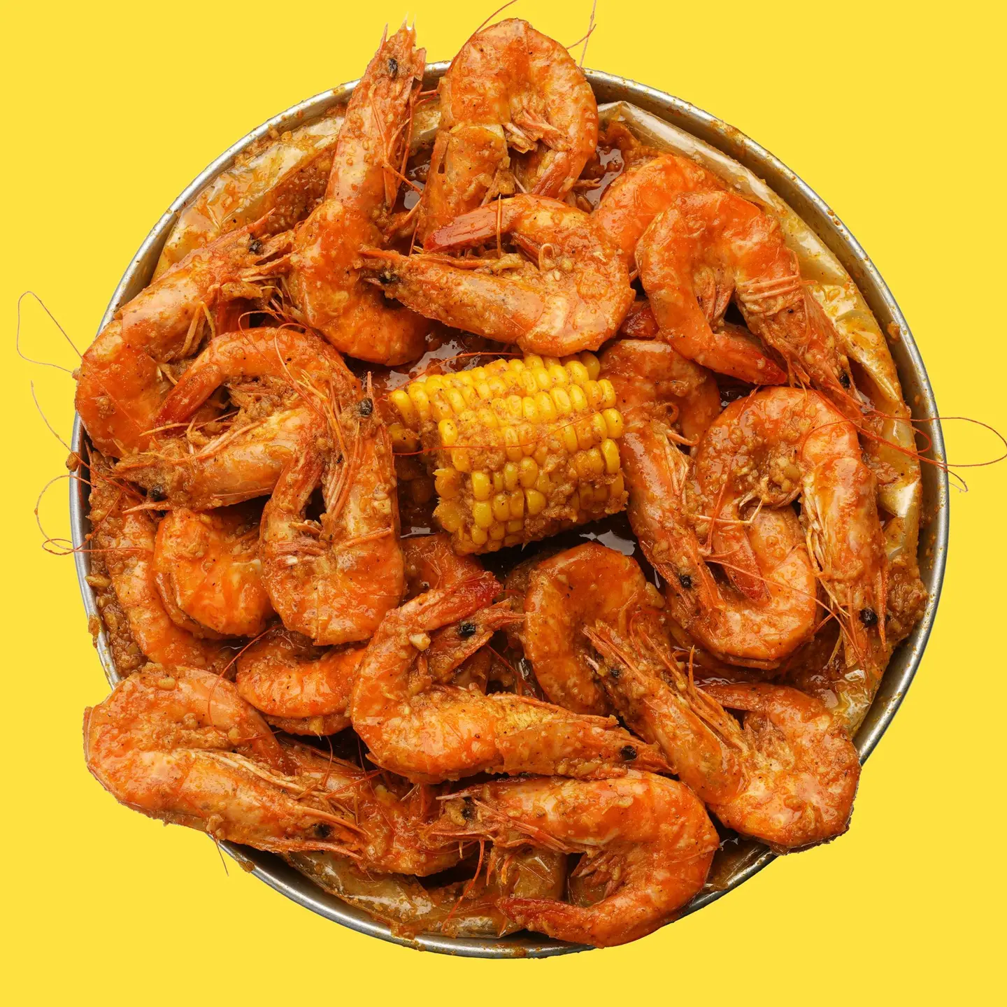 Shrimp