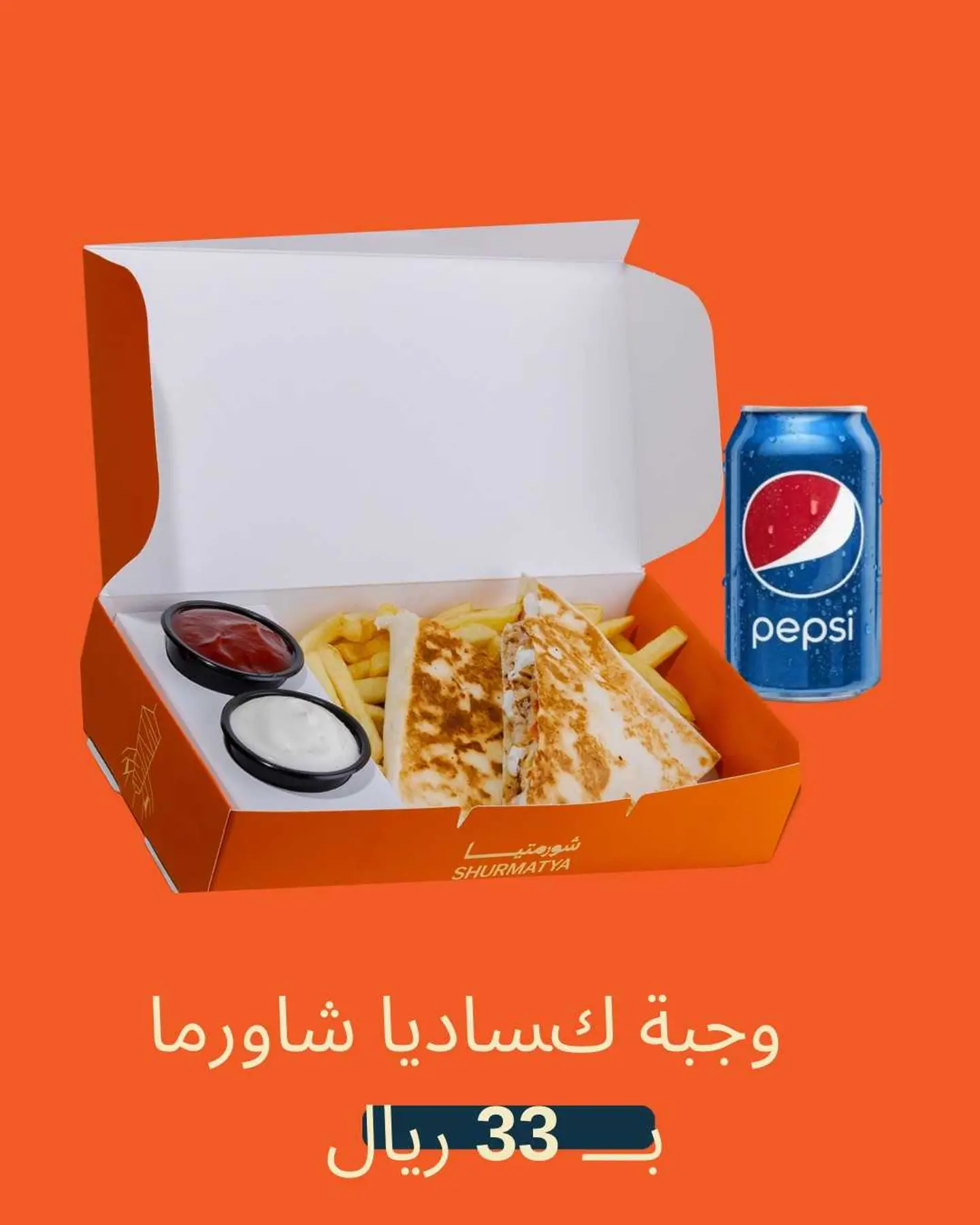 Shawarma Quesadilla Meal