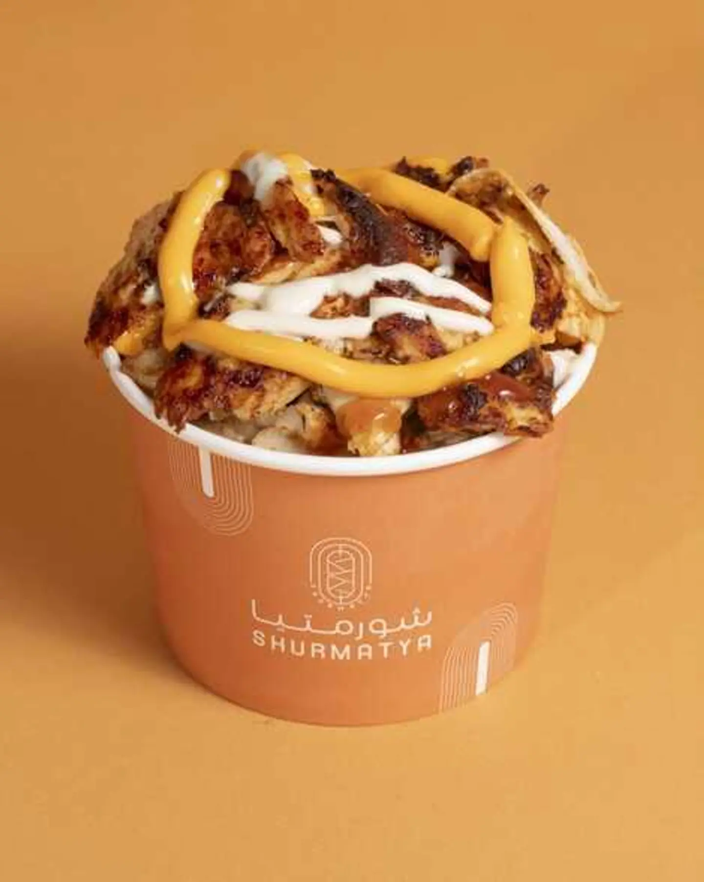 A Plate Of Shawarma