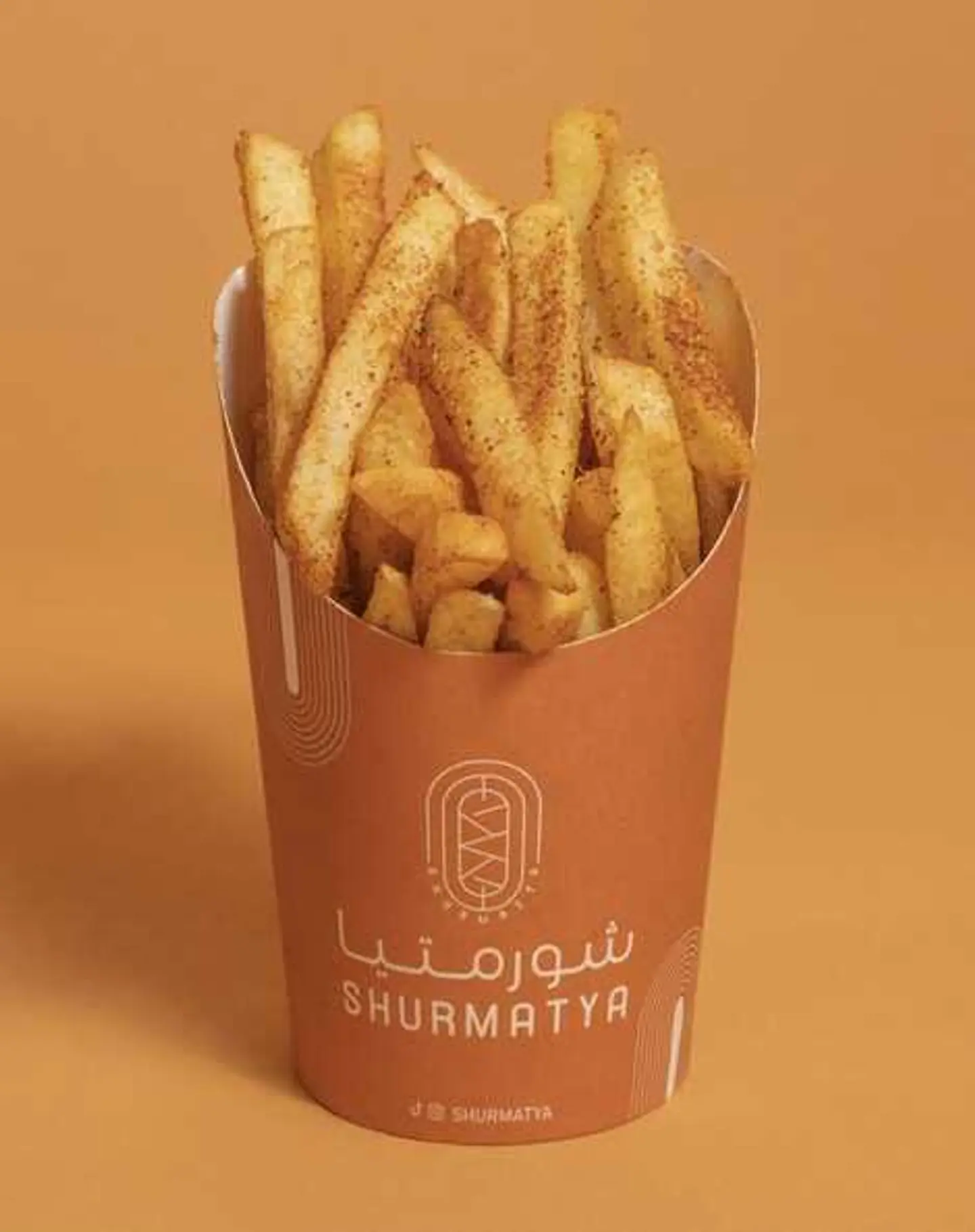 Spiced Fries