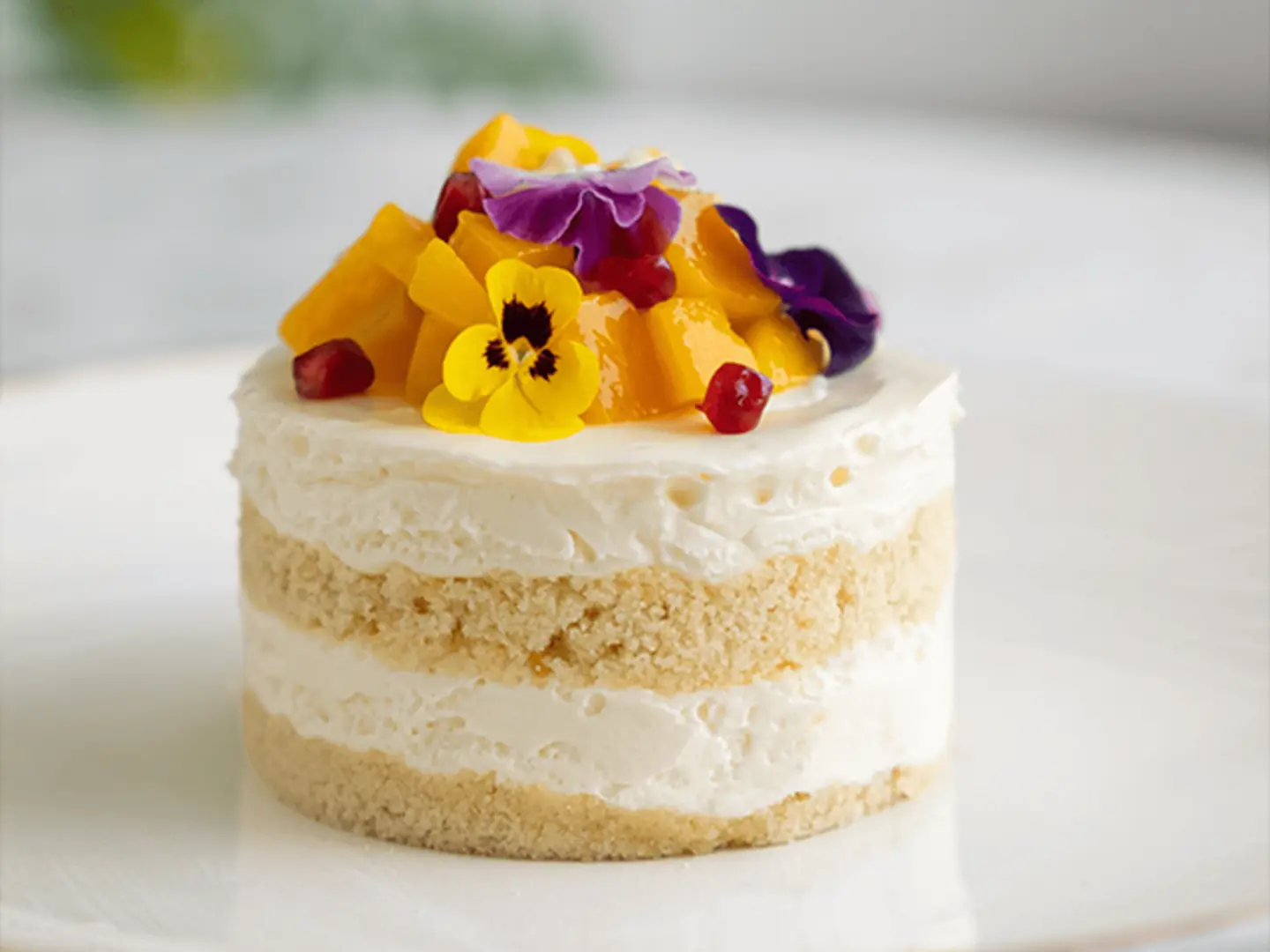 Mango Massara
