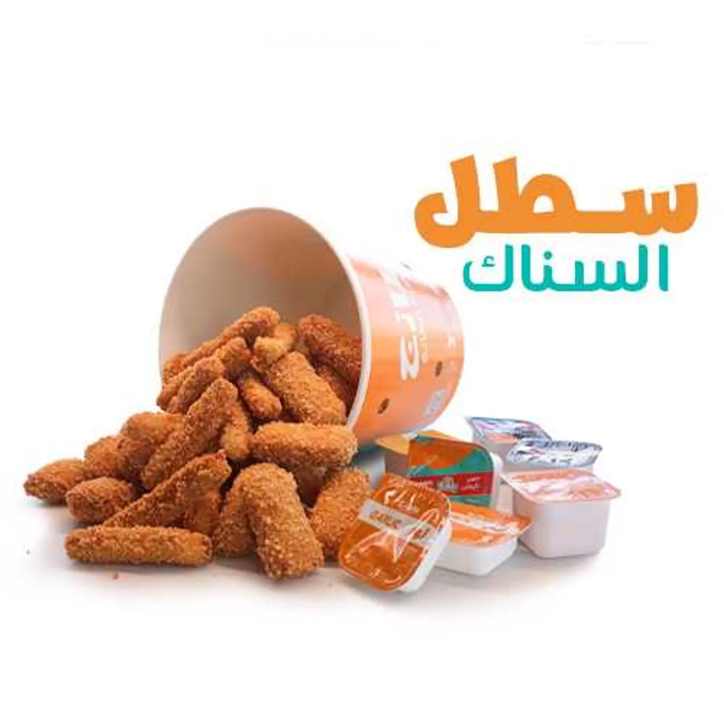 Satel Snack.