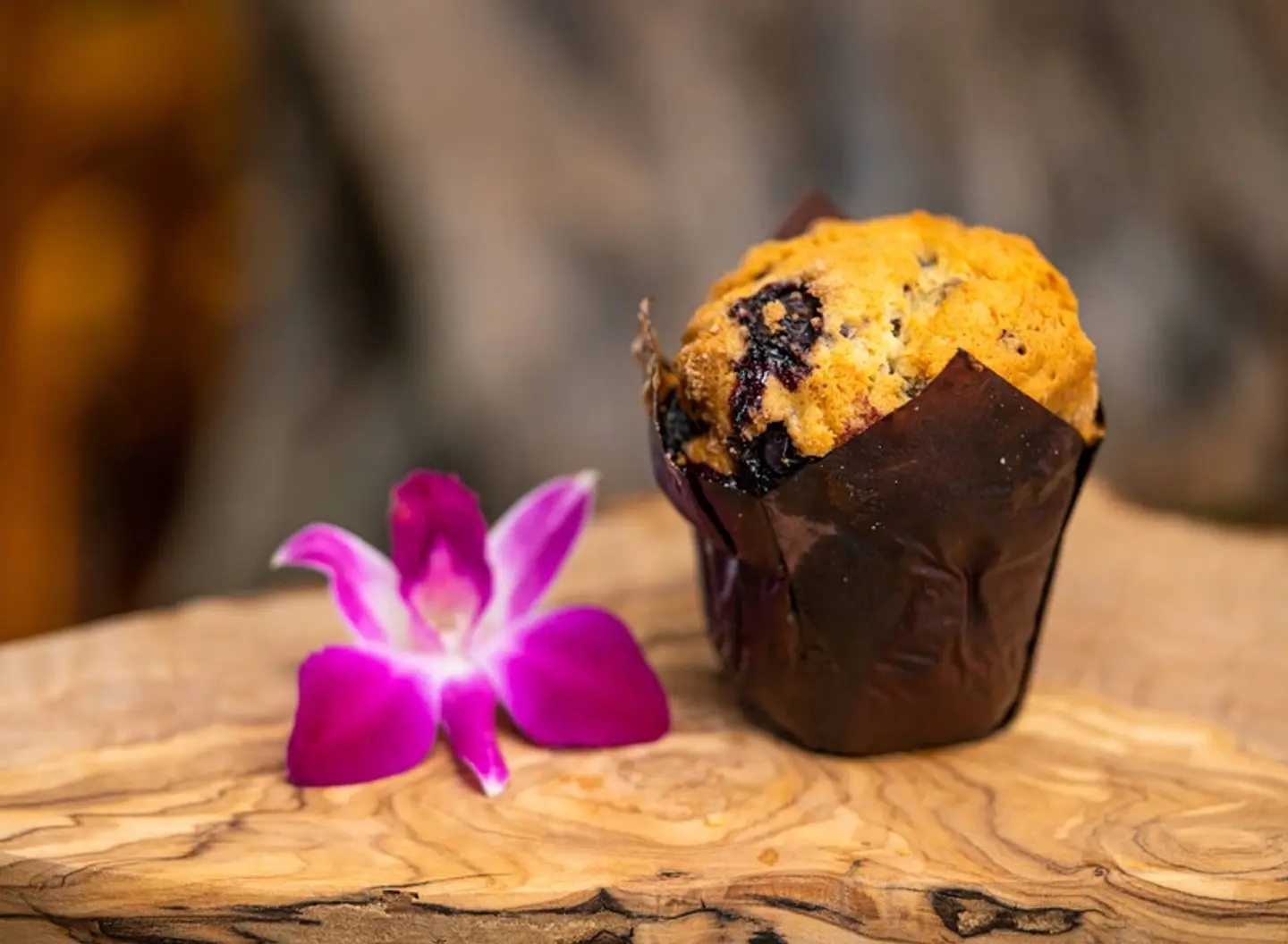 Blueberry Muffin