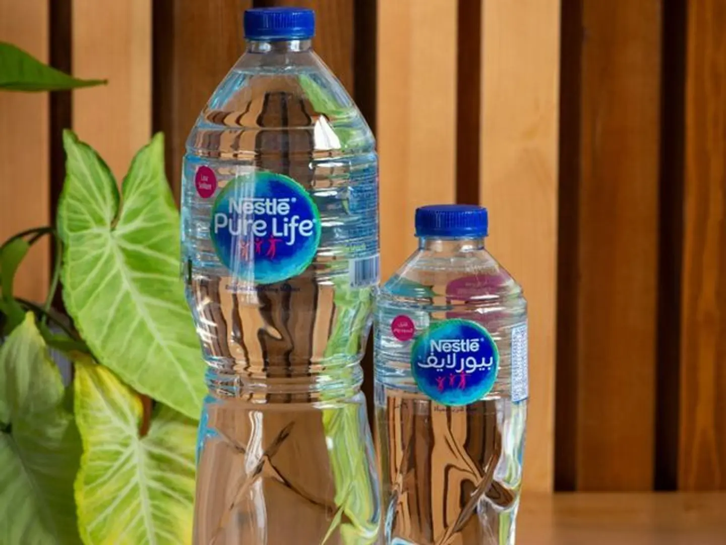 Big Water