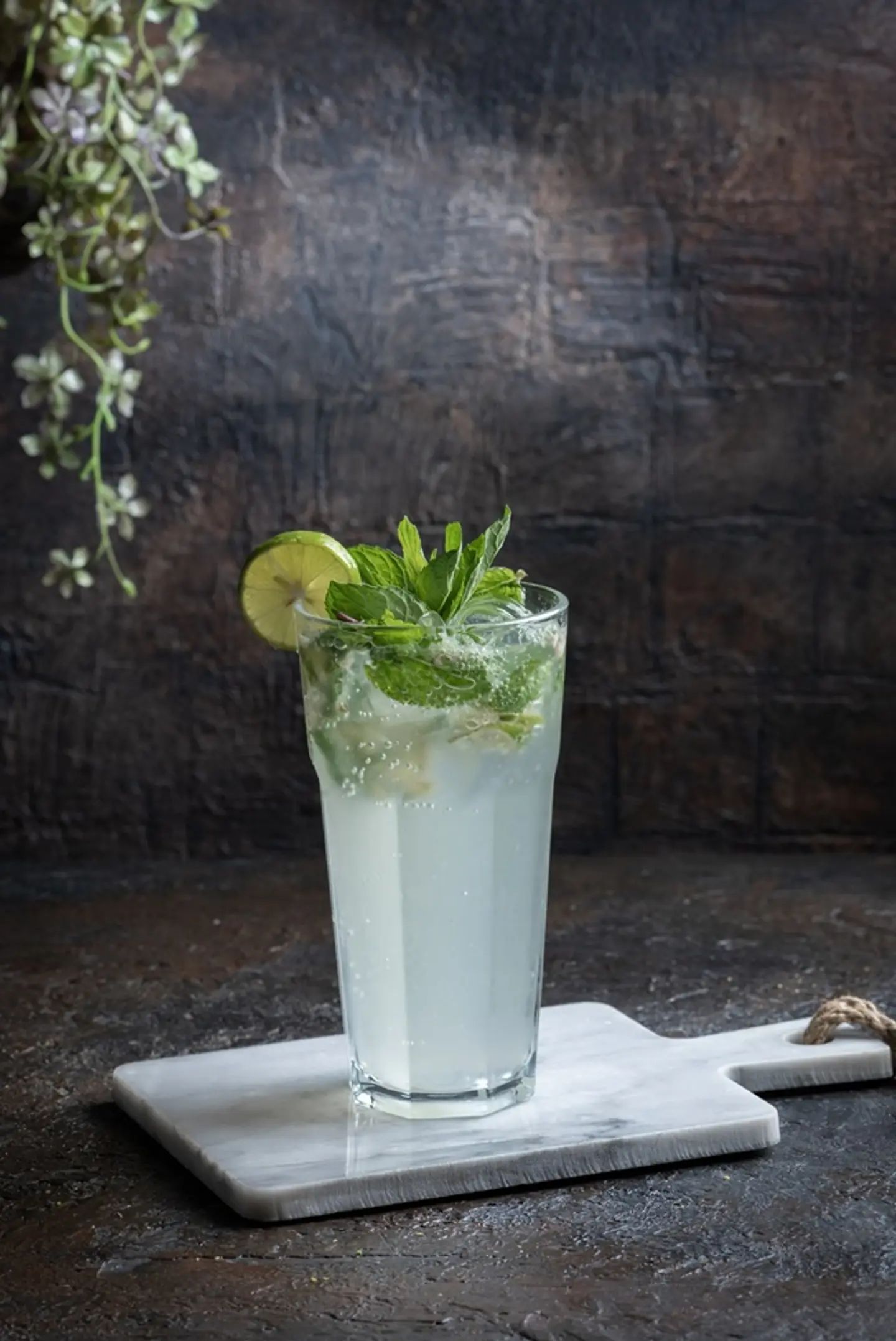 Classic Mojito