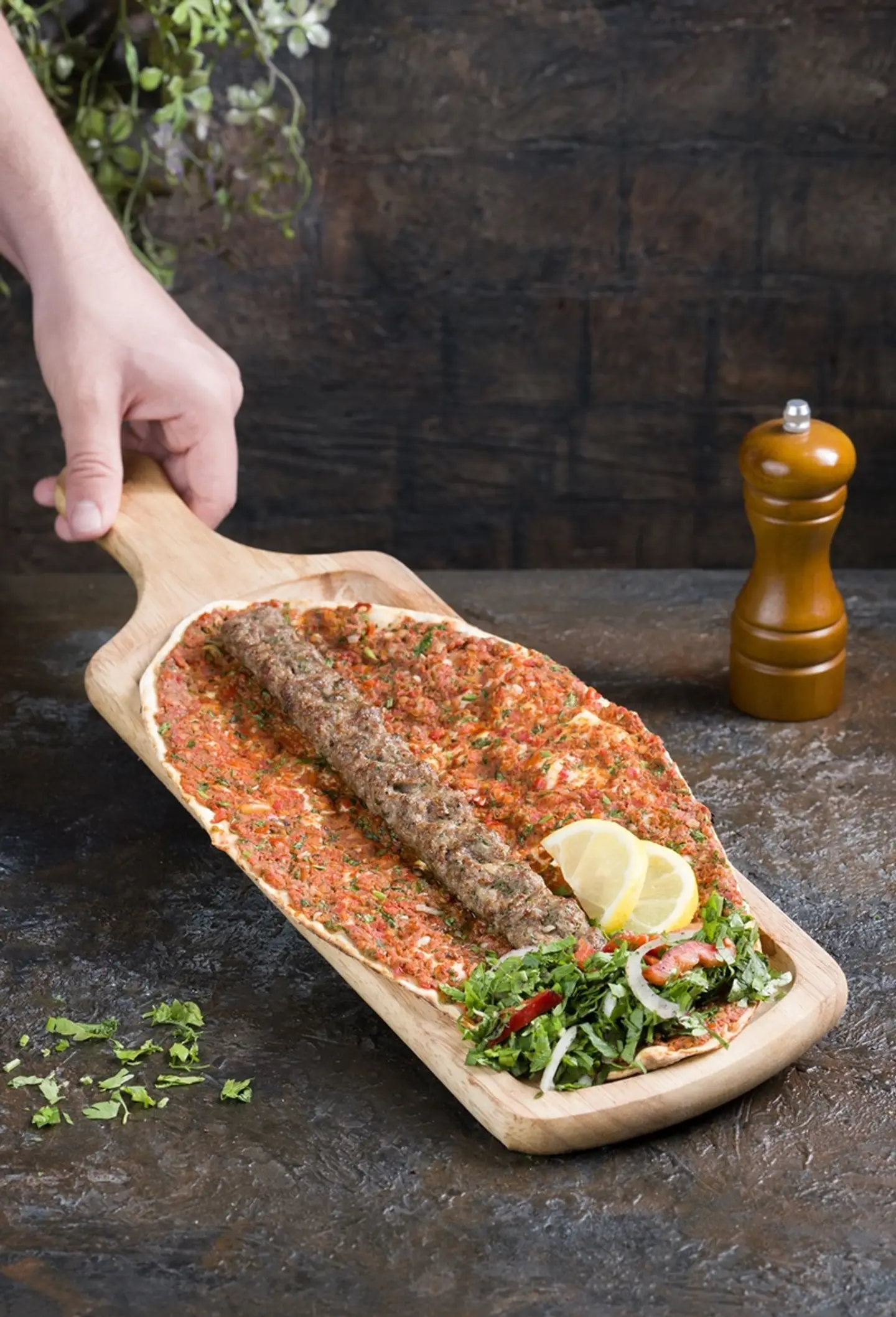 Kabab Entabi