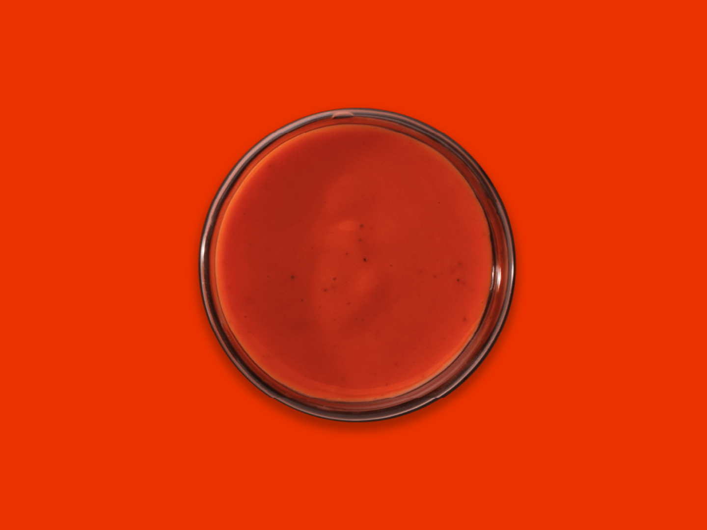 Spicy Sauce Dip
