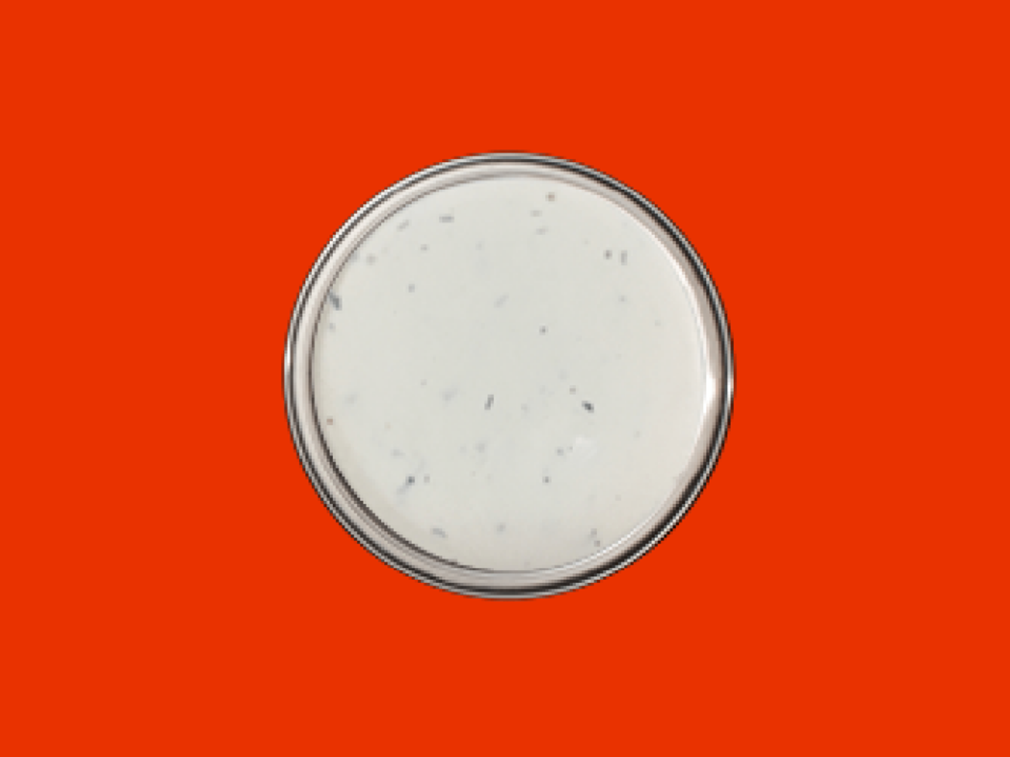 Ranch Dip