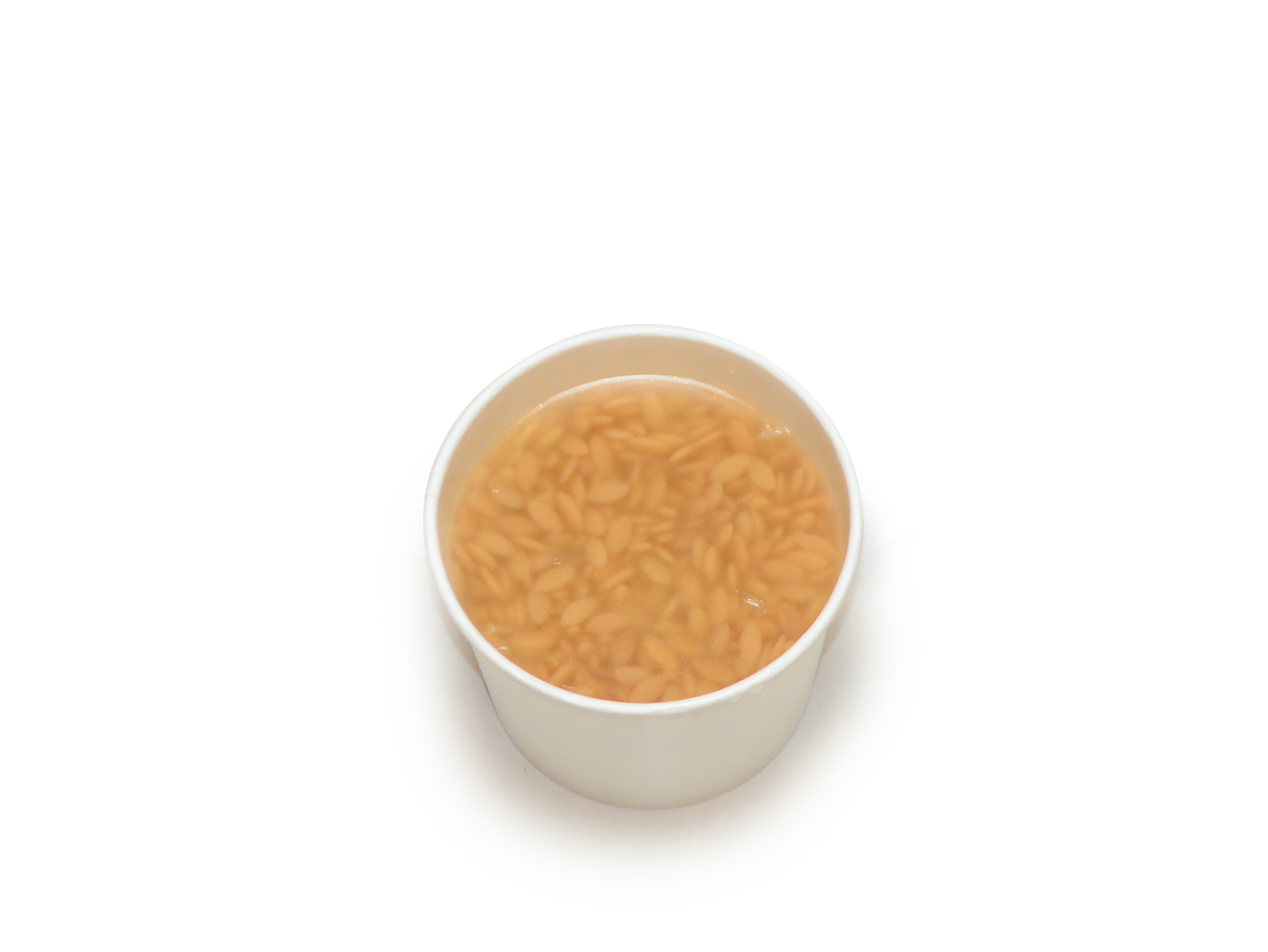 Orzo Soup