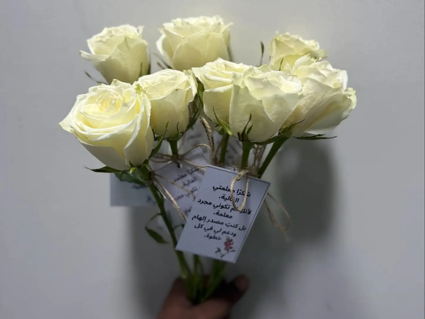 وردة بيضاء واحدة 567