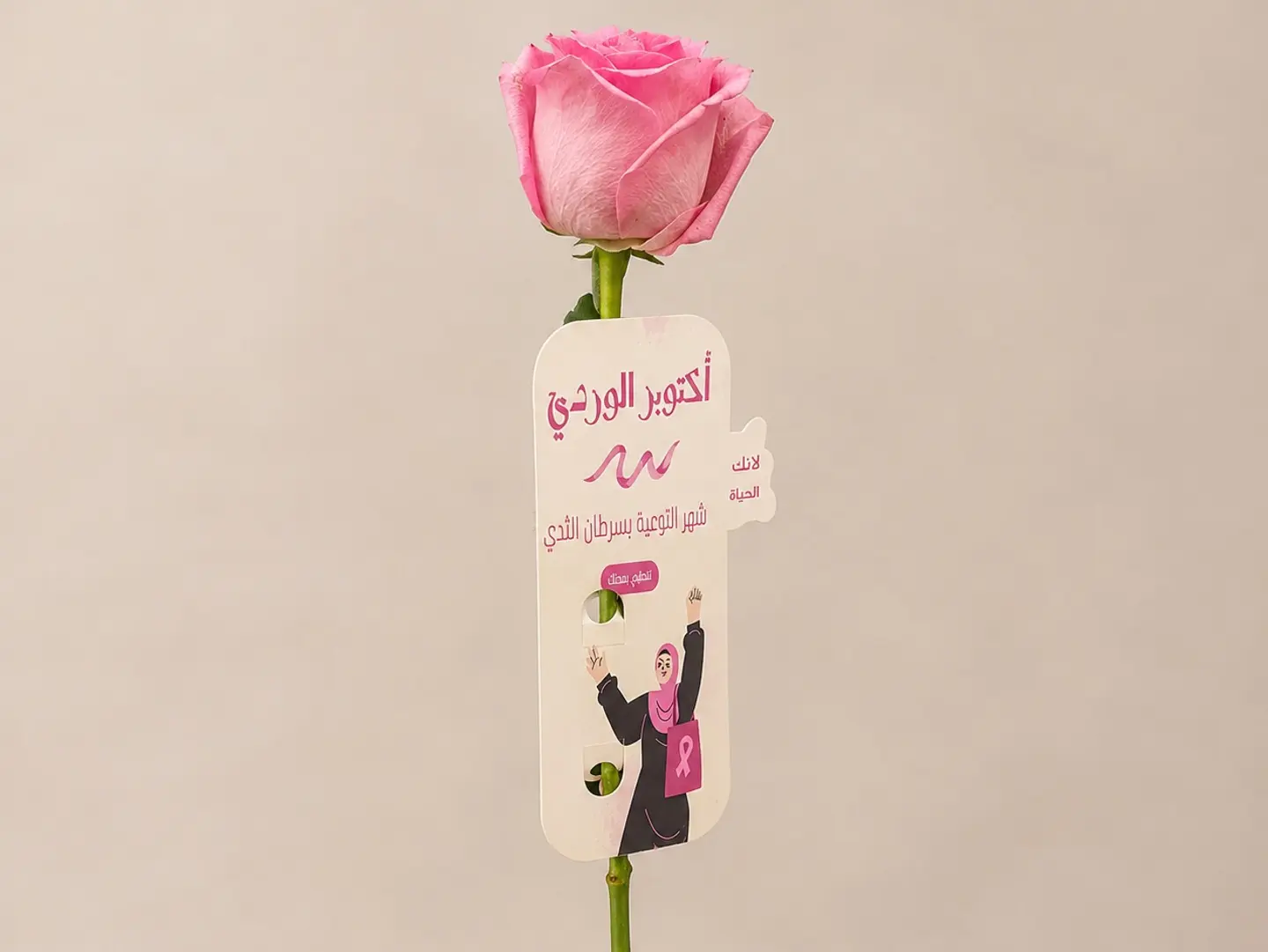 Because You Are Life Pink Rose