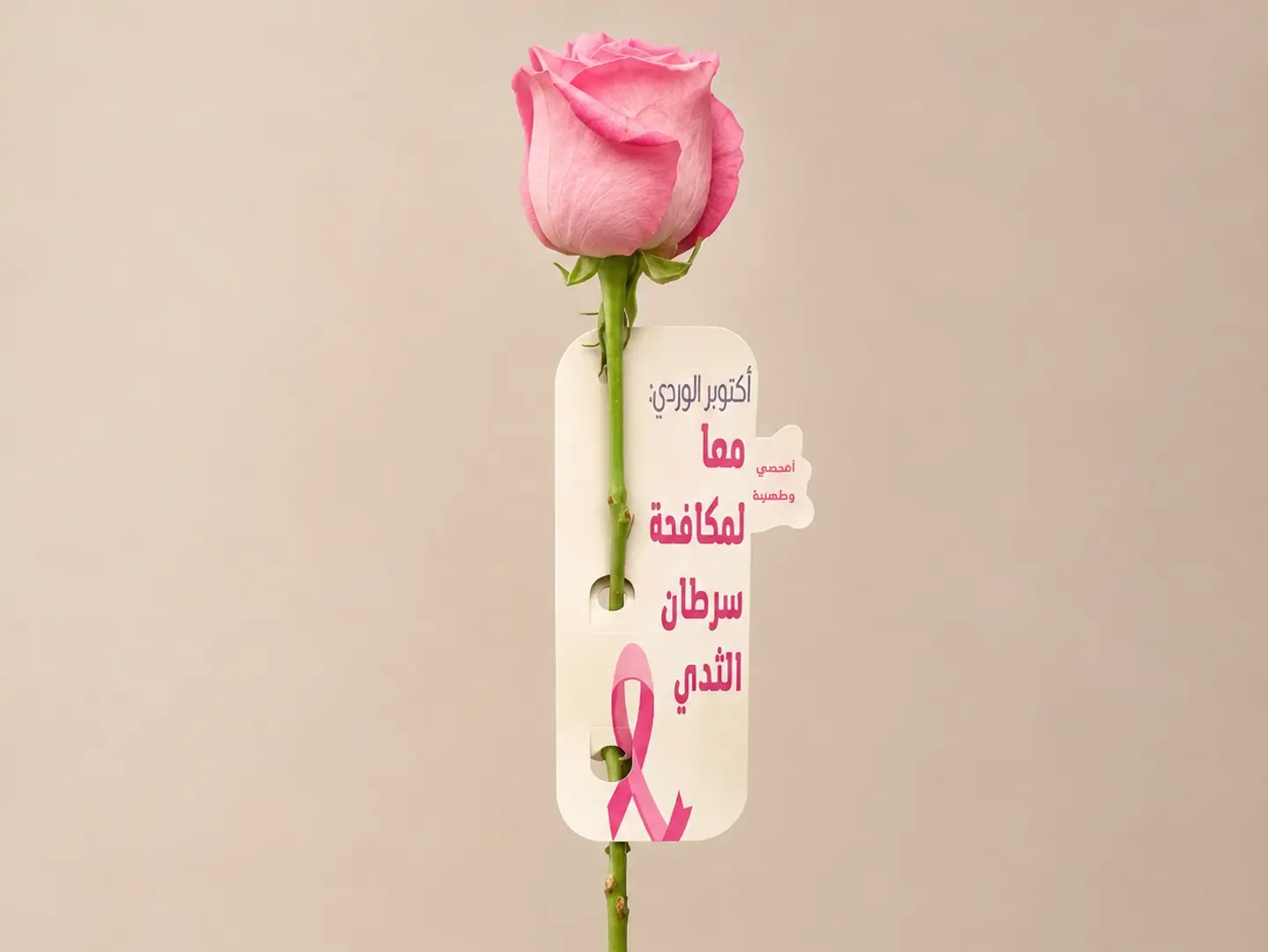 Pink Ribbon Awareness Rose