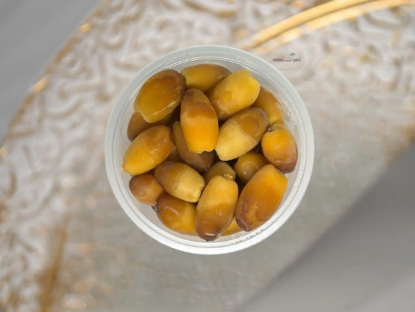قدوع سلج مثلج