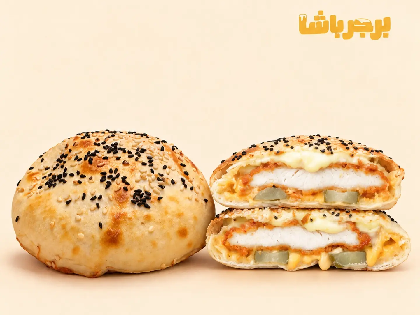 زنجر باشا
