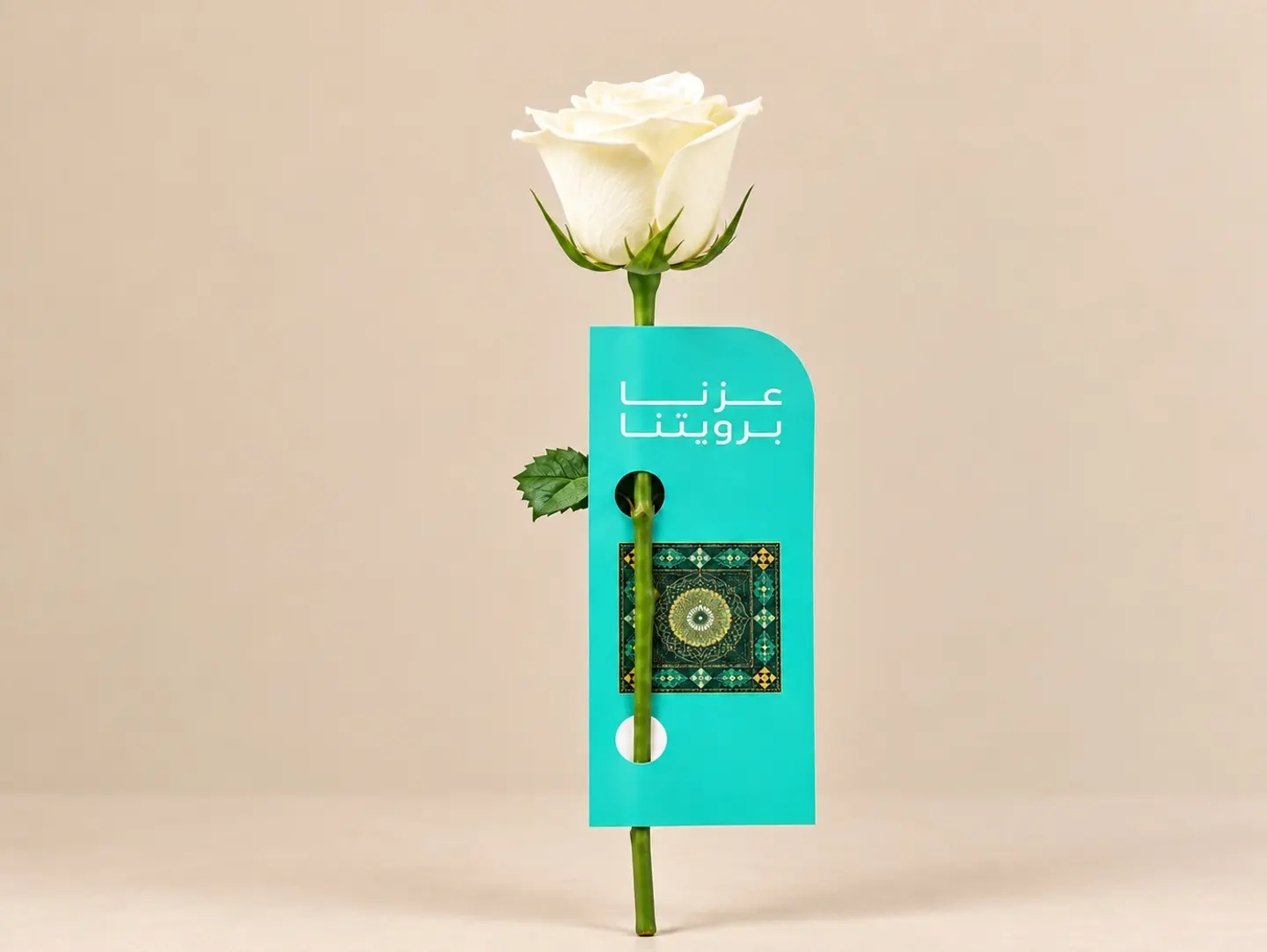 توزيعات اليوم الوطني